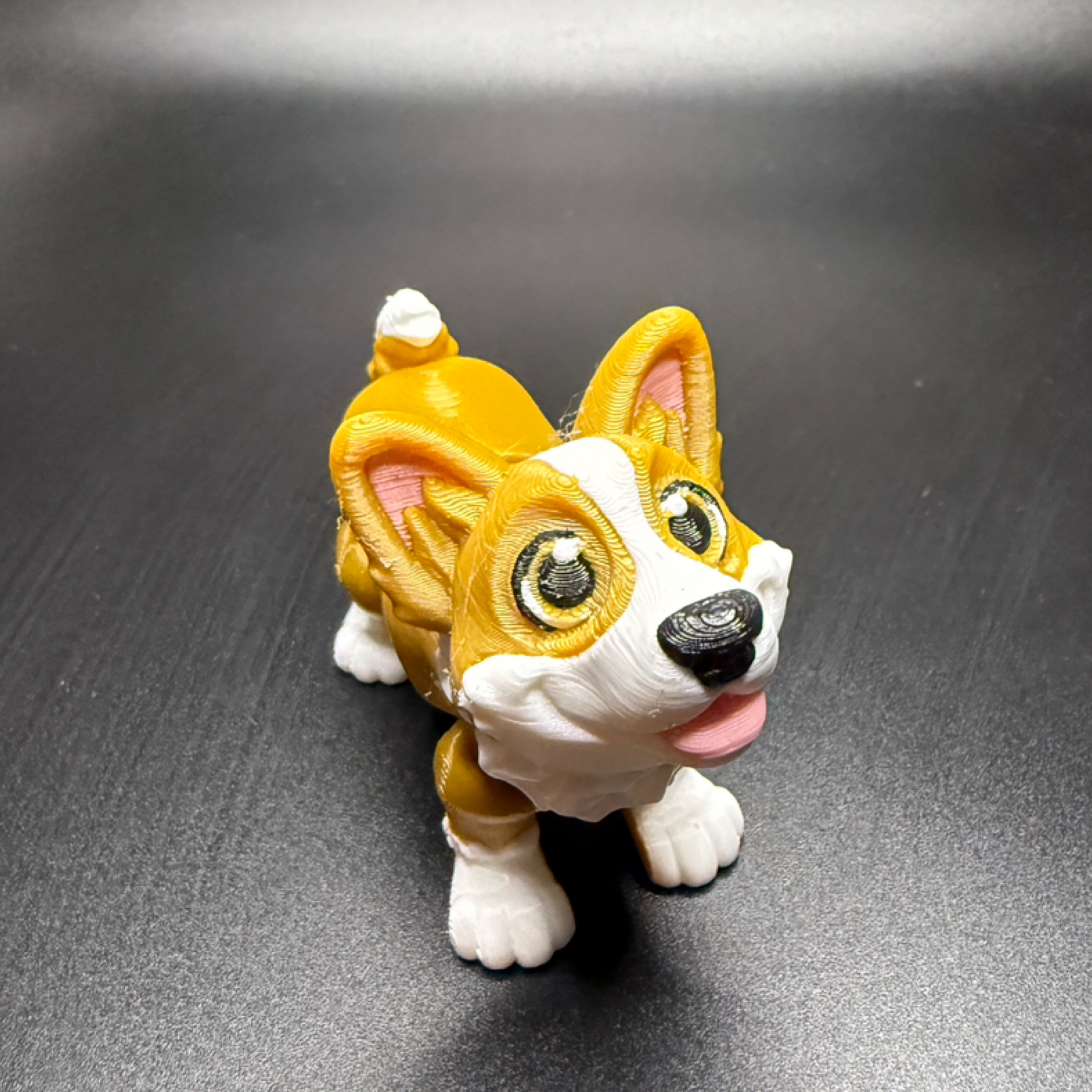 Corgi