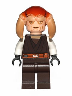 sw0308 Saesee Tiin - Dark Brown Robe, White Arms, Large Eyes