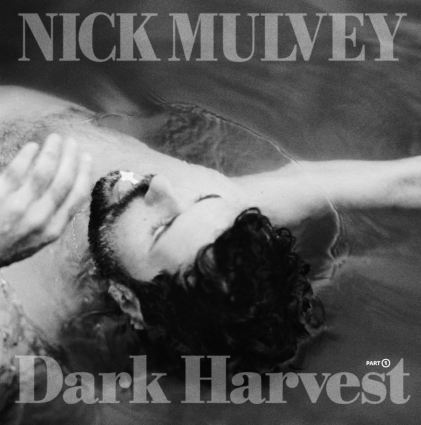 NICK MULVEY - DARK HARVEST PART 1 by Unknown Artist - View 1