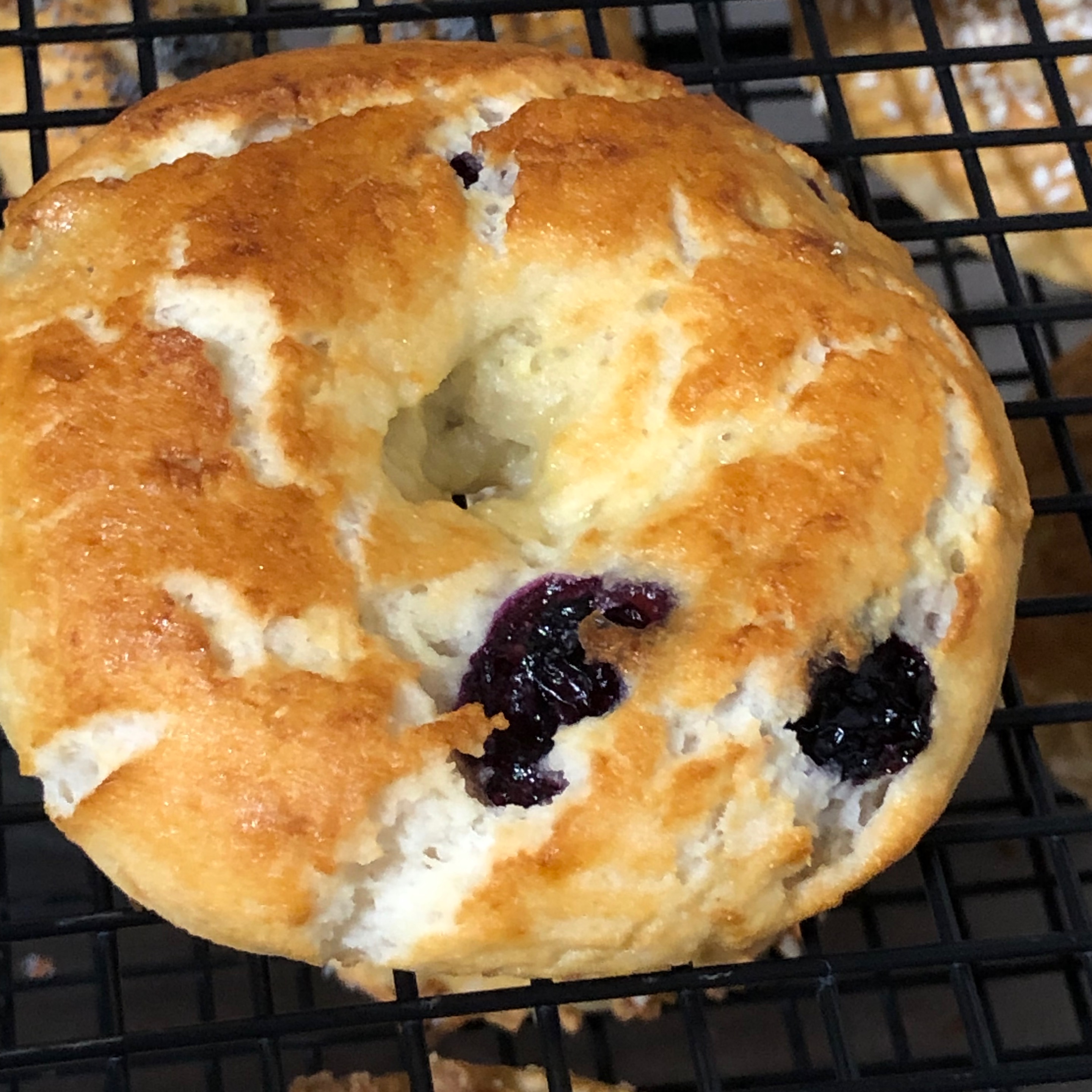 Photo of Blueberry Bagel