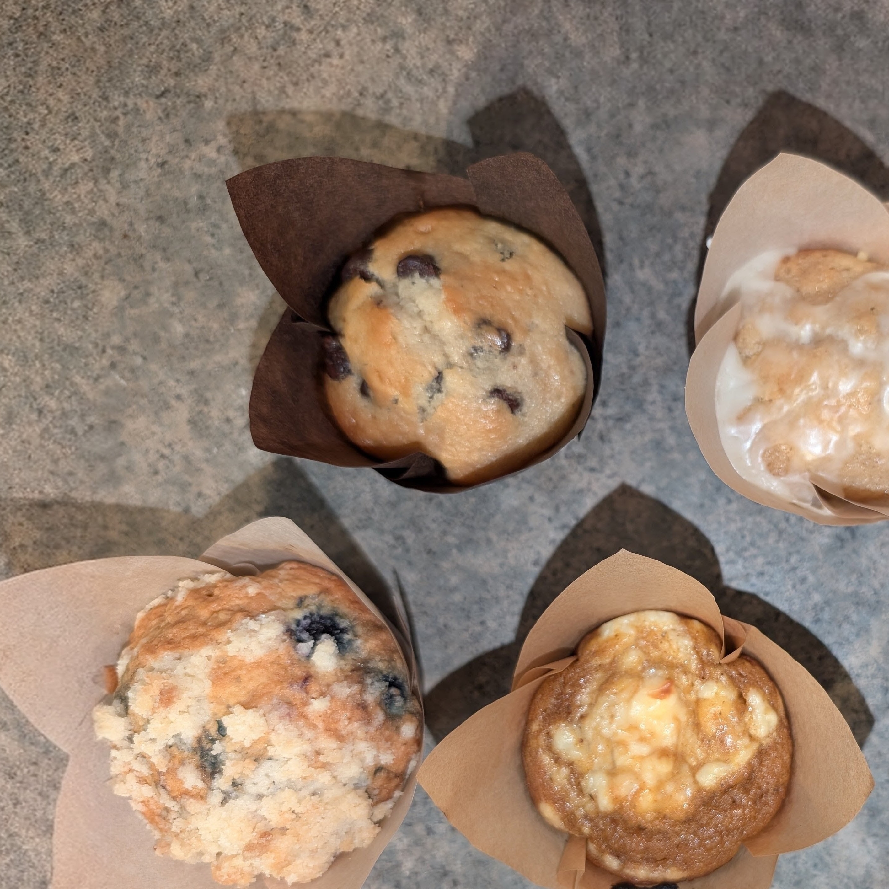 Photo of Chocolate Chip Sourdough Muffin