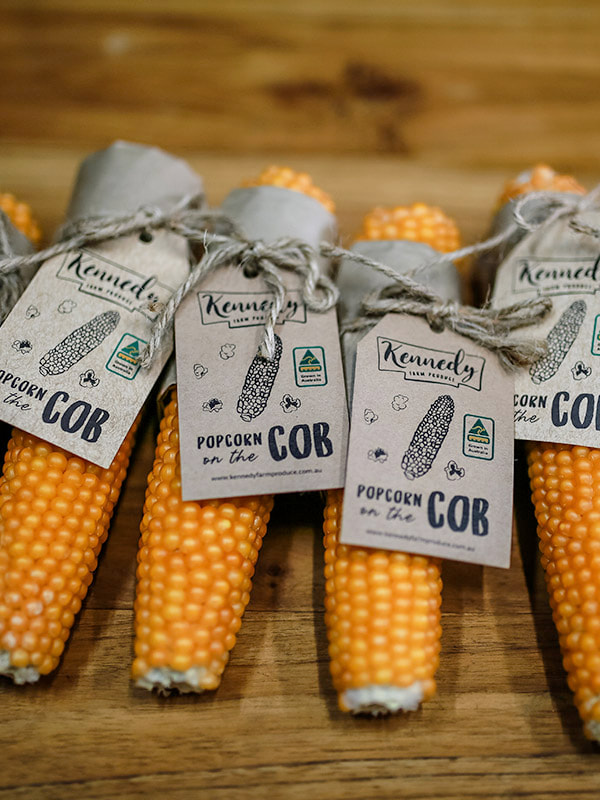 Kennedy Farm Produce - Corn – Popcorn on the Cob - Single
