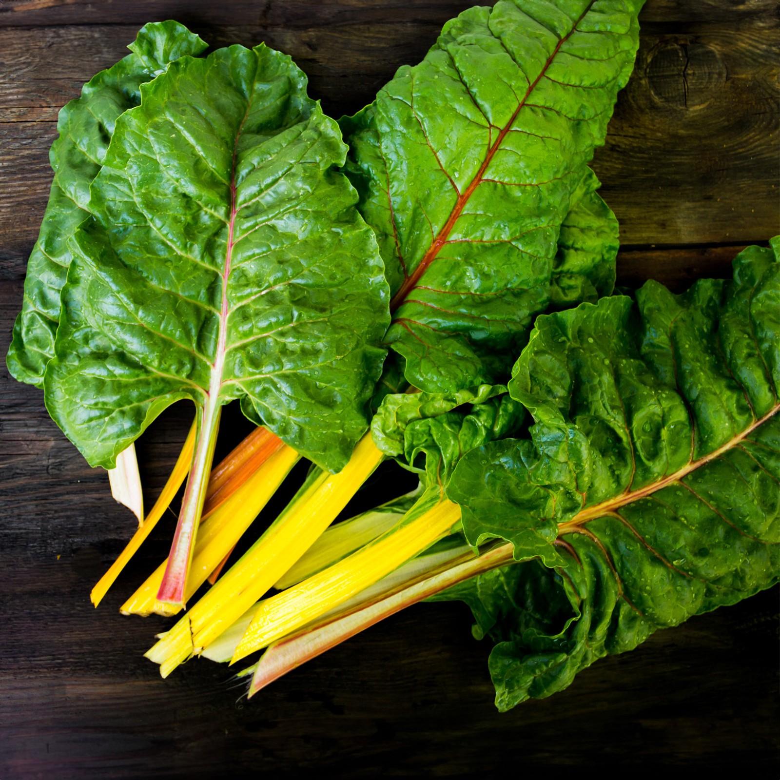 Swiss Chard ‘Canary Yellow’ - 2x Plug Plants - Hardy Variety