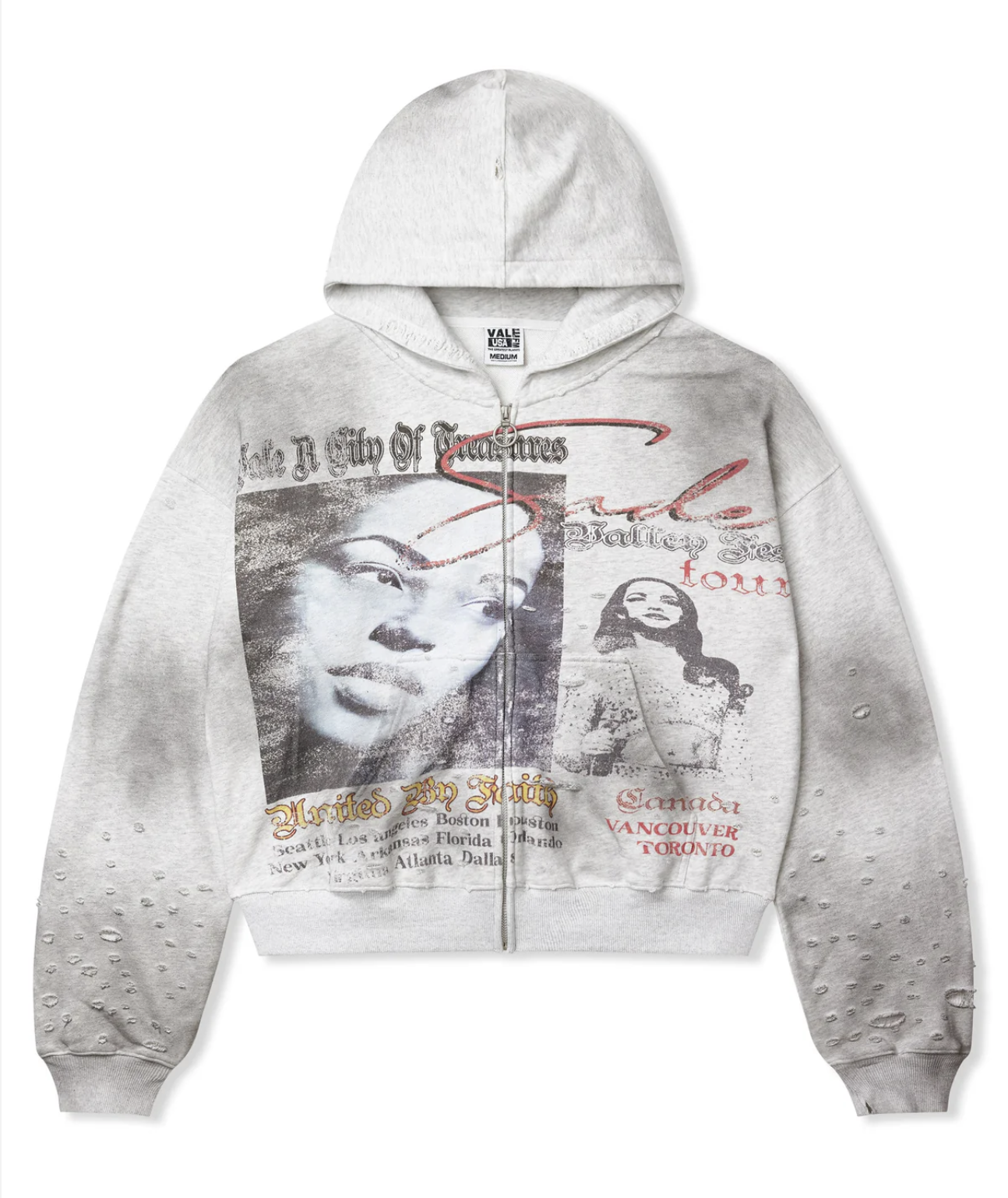 VALE VALLEY FEST ZIP UP HOODIE