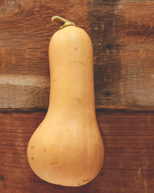 Butternut Squash