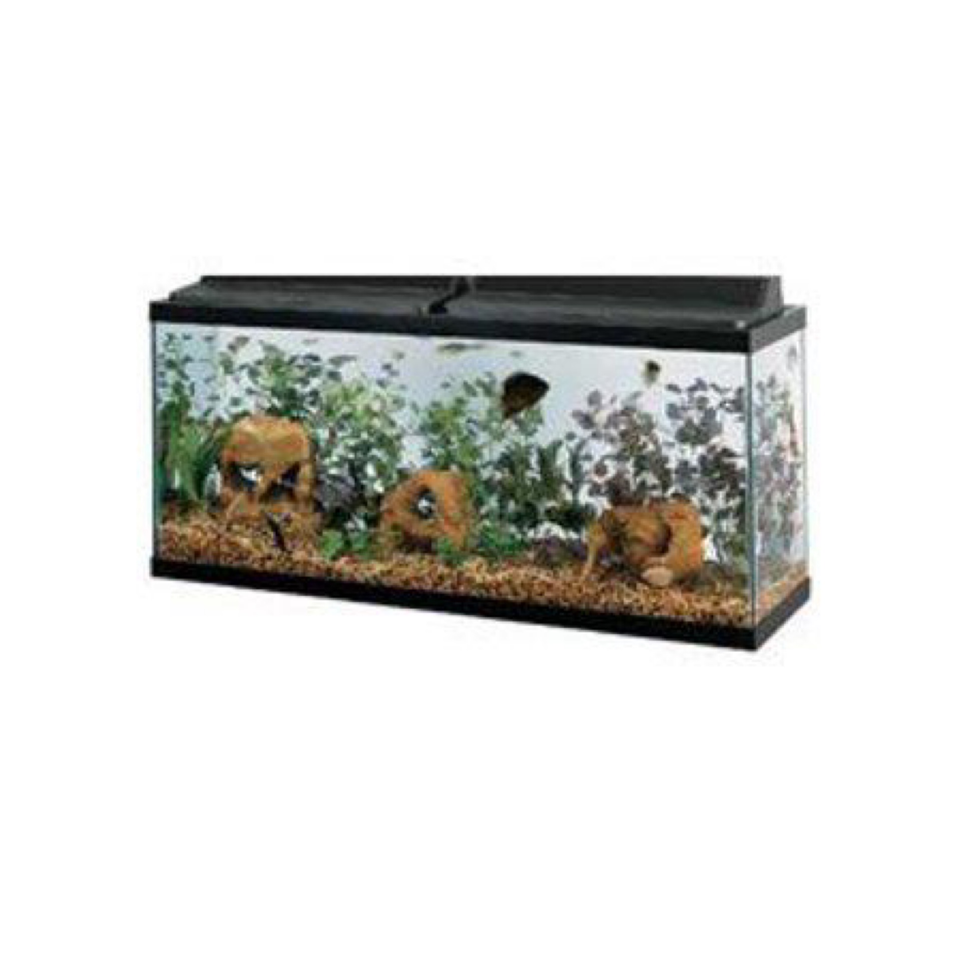 55 Gallon Aqueon All Glass Aquarium 55 Tank (48x13x20)