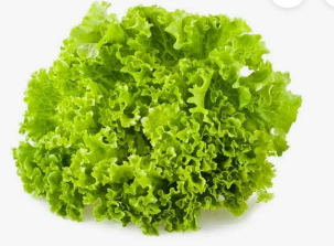 Lettuce - Green Leaf