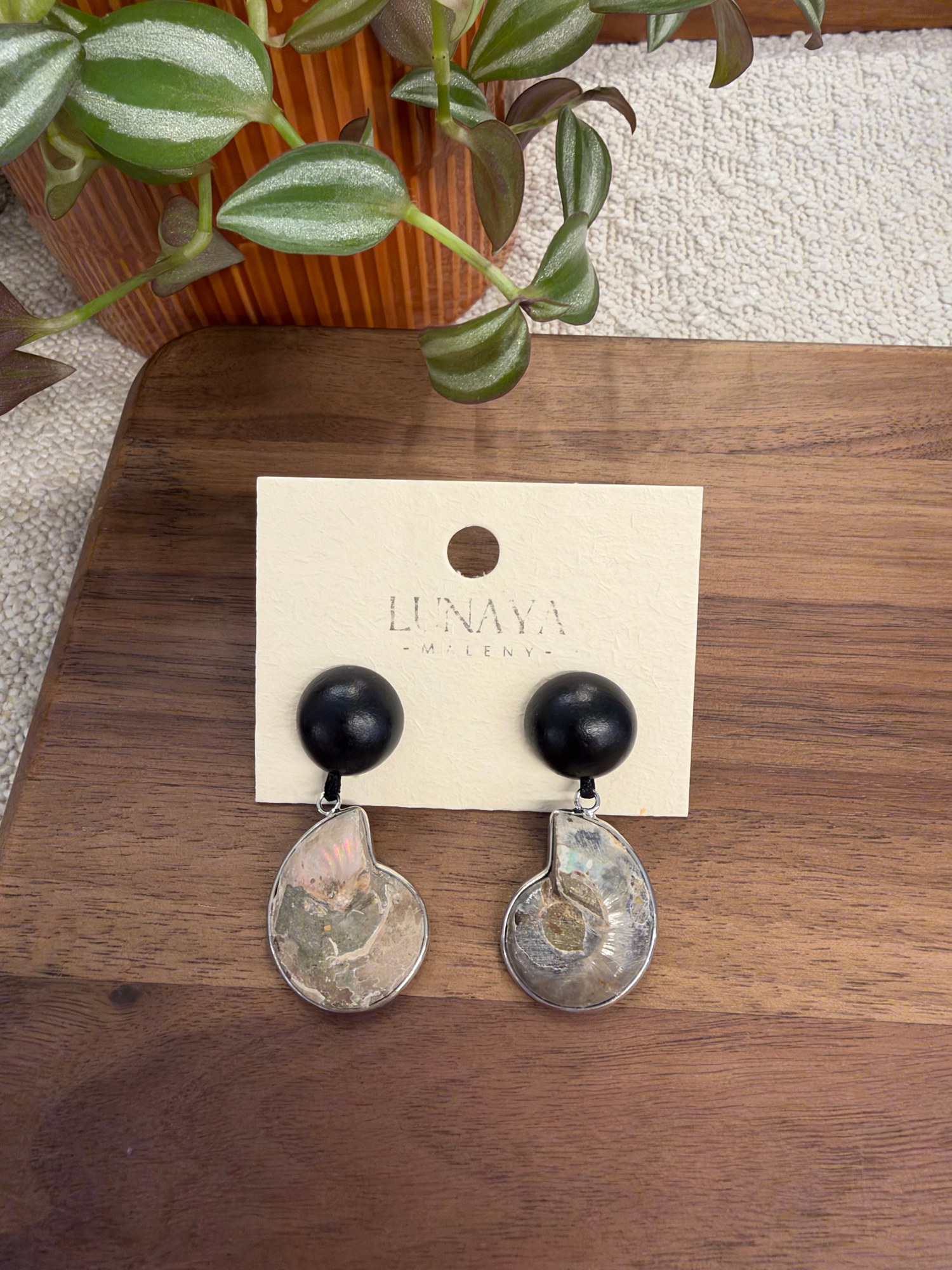 Natural Ammonite Fossil Drop Earrings