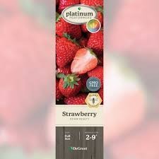 Ozark Beauty Strawberry (Fragaria), Bare Root