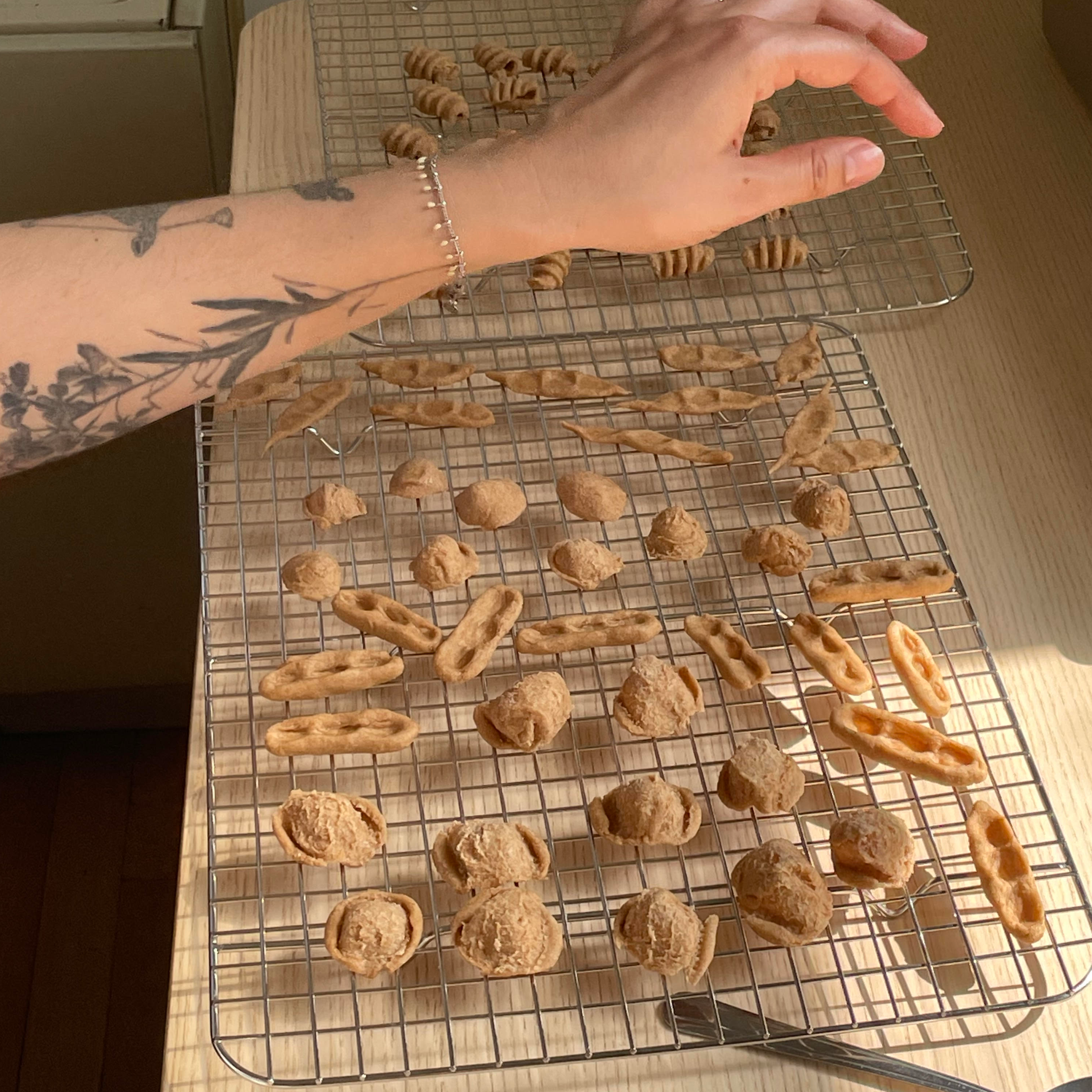 Consuming Cartographies - Bucks County on June 13