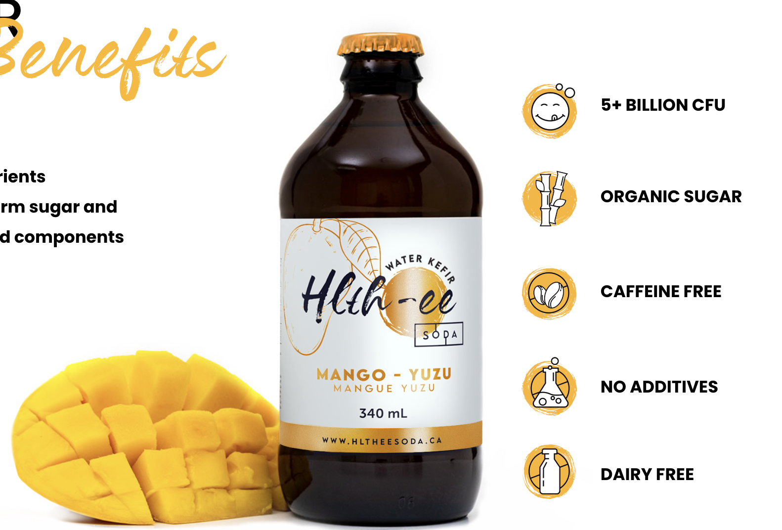 SODA Water-Kefir