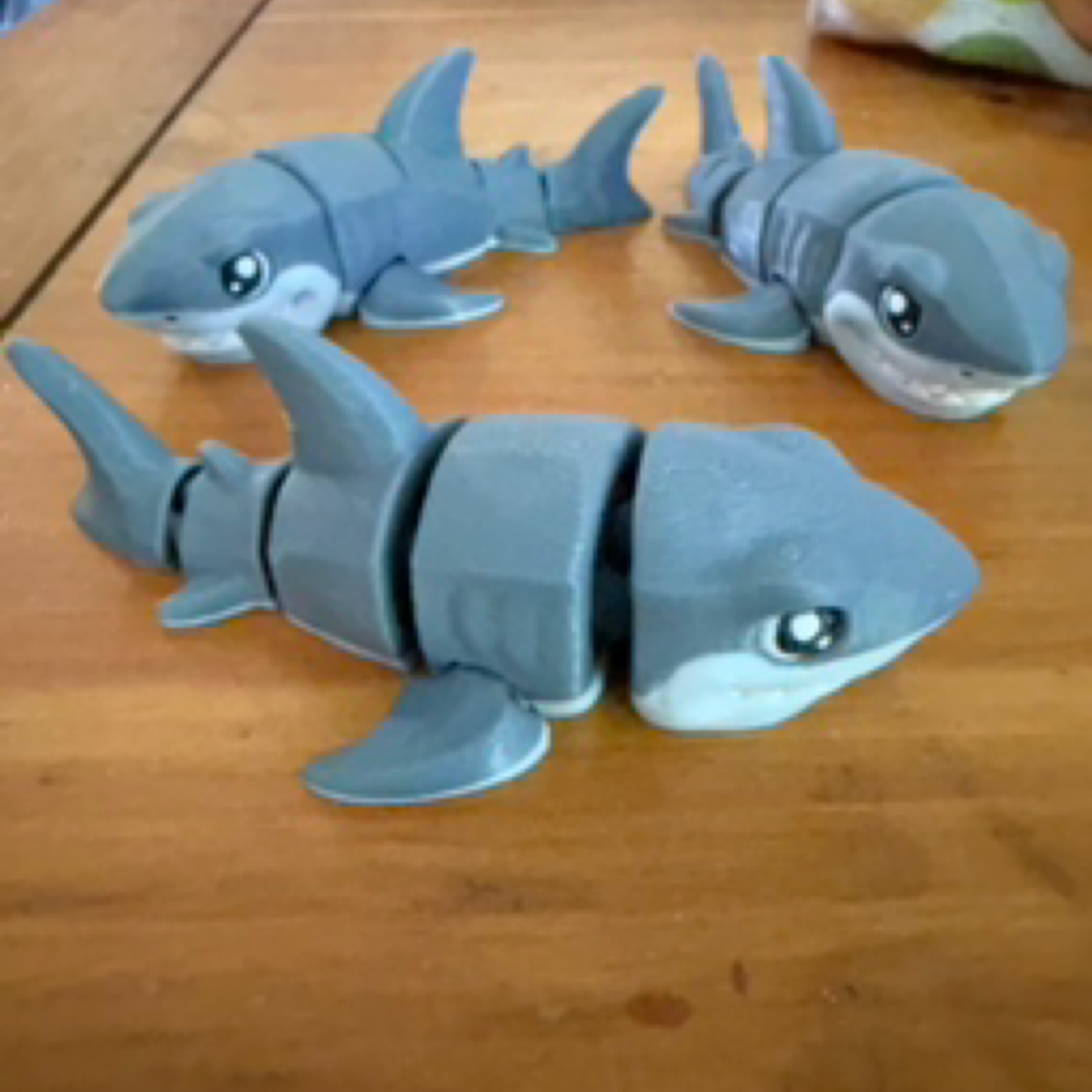 Great white shark