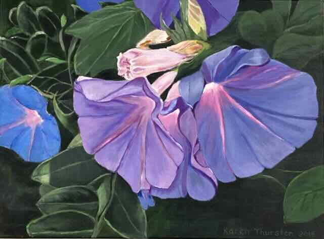 637-5 Morning Glories