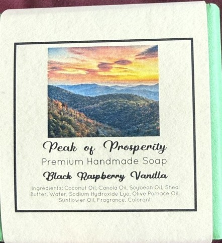 Black Raspberry Vanilla Soap