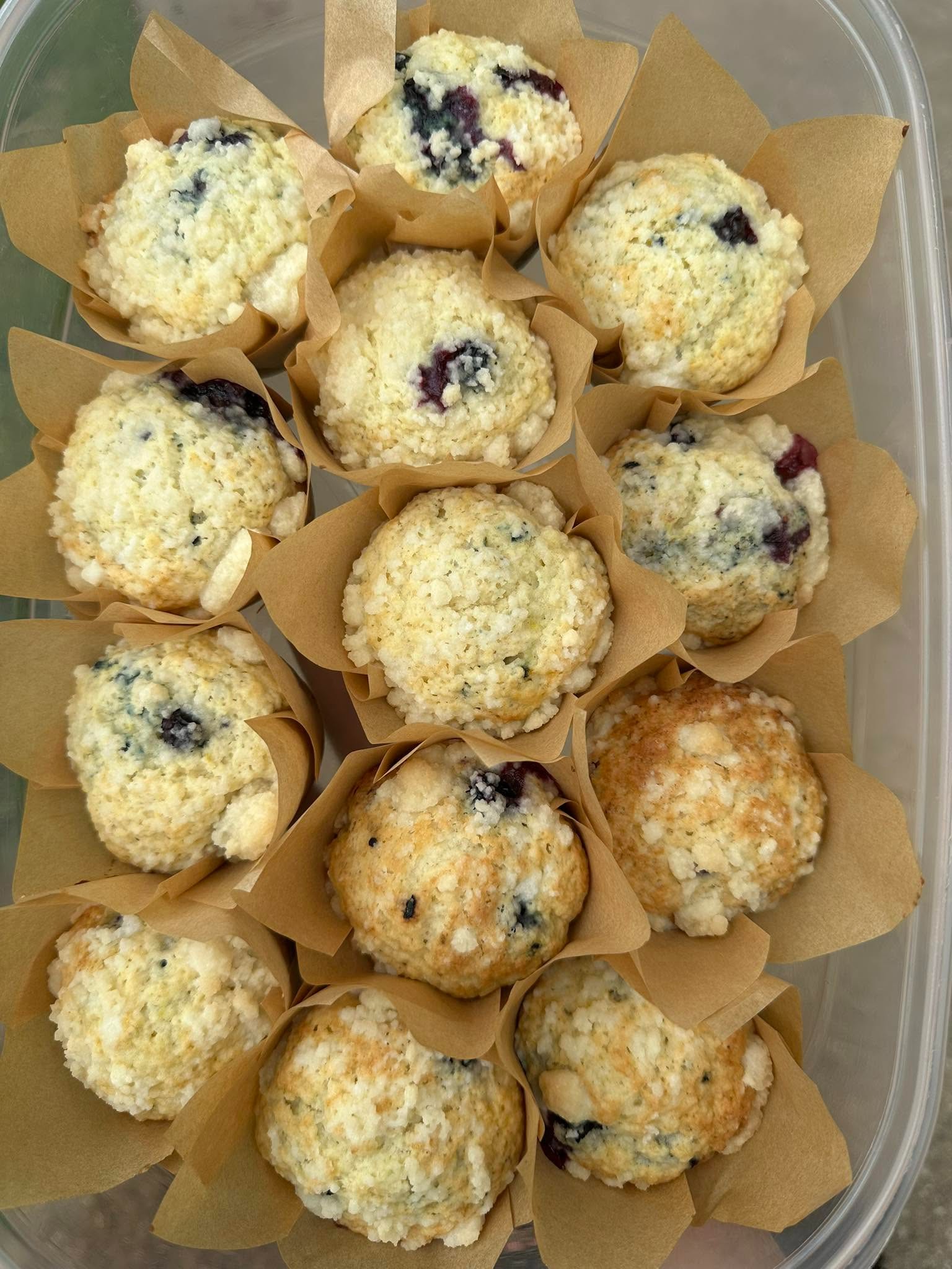 Photo of Blueberry Muffin