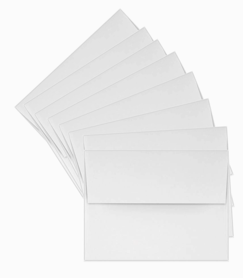 Ski Blue Toile Box Set Notecards