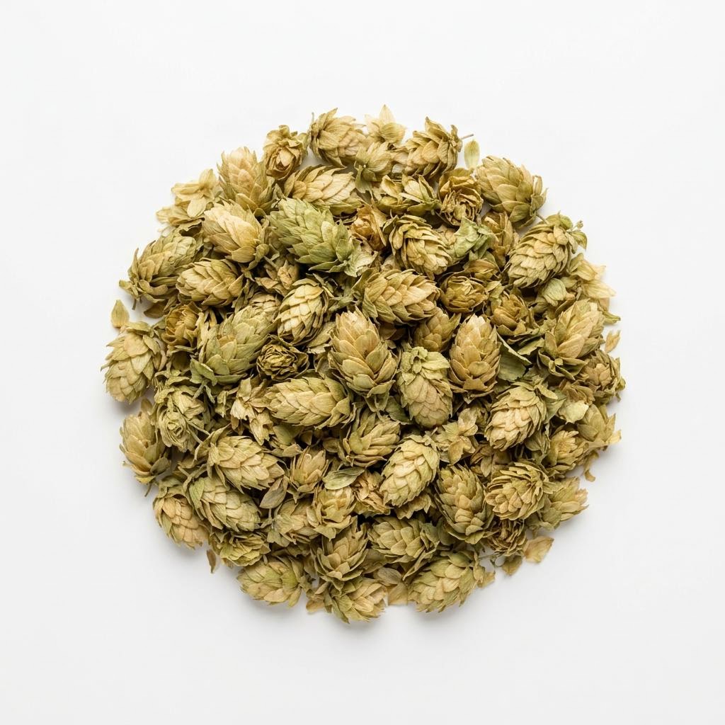 Hops Flowers