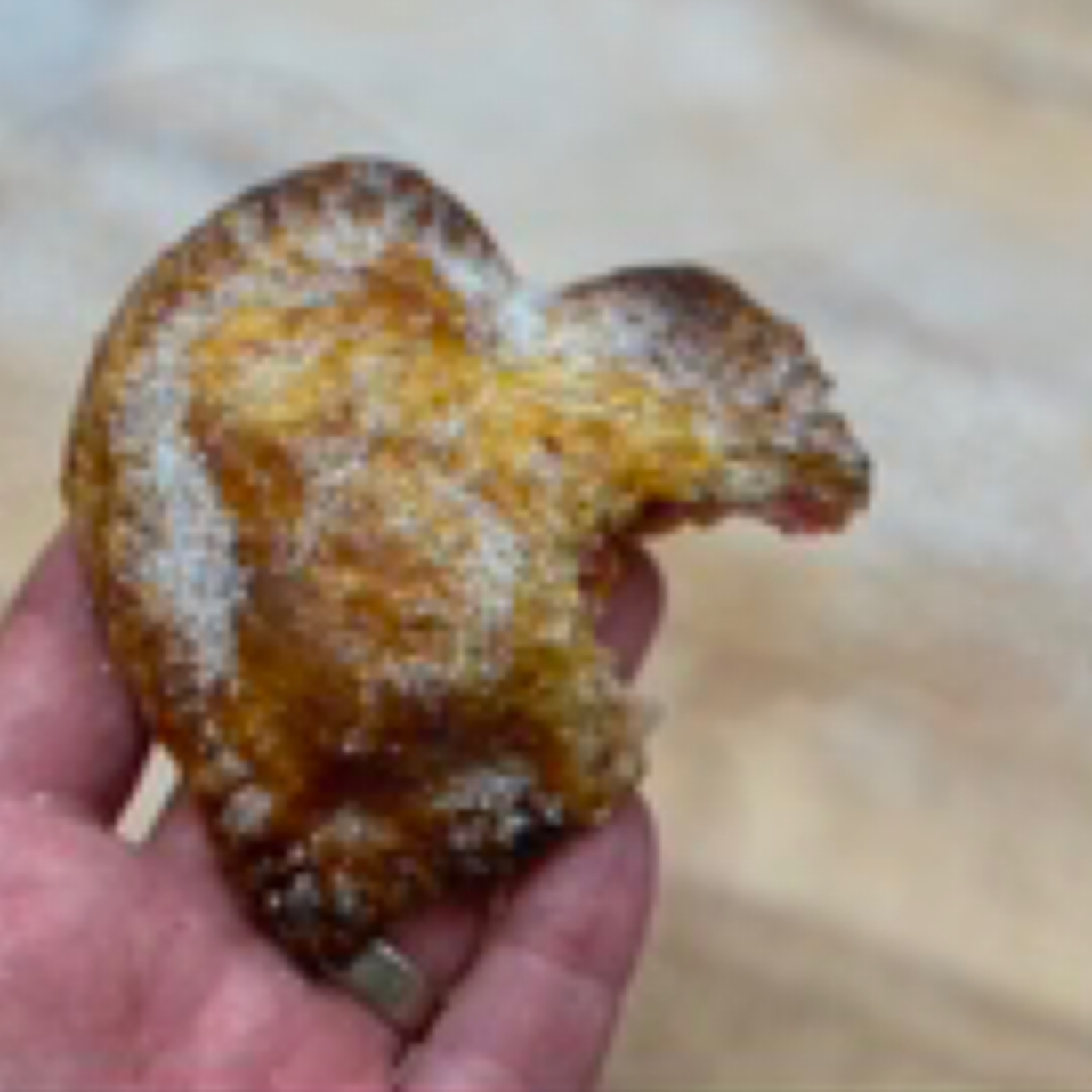 Cherry Heart Shaped Hand Pies