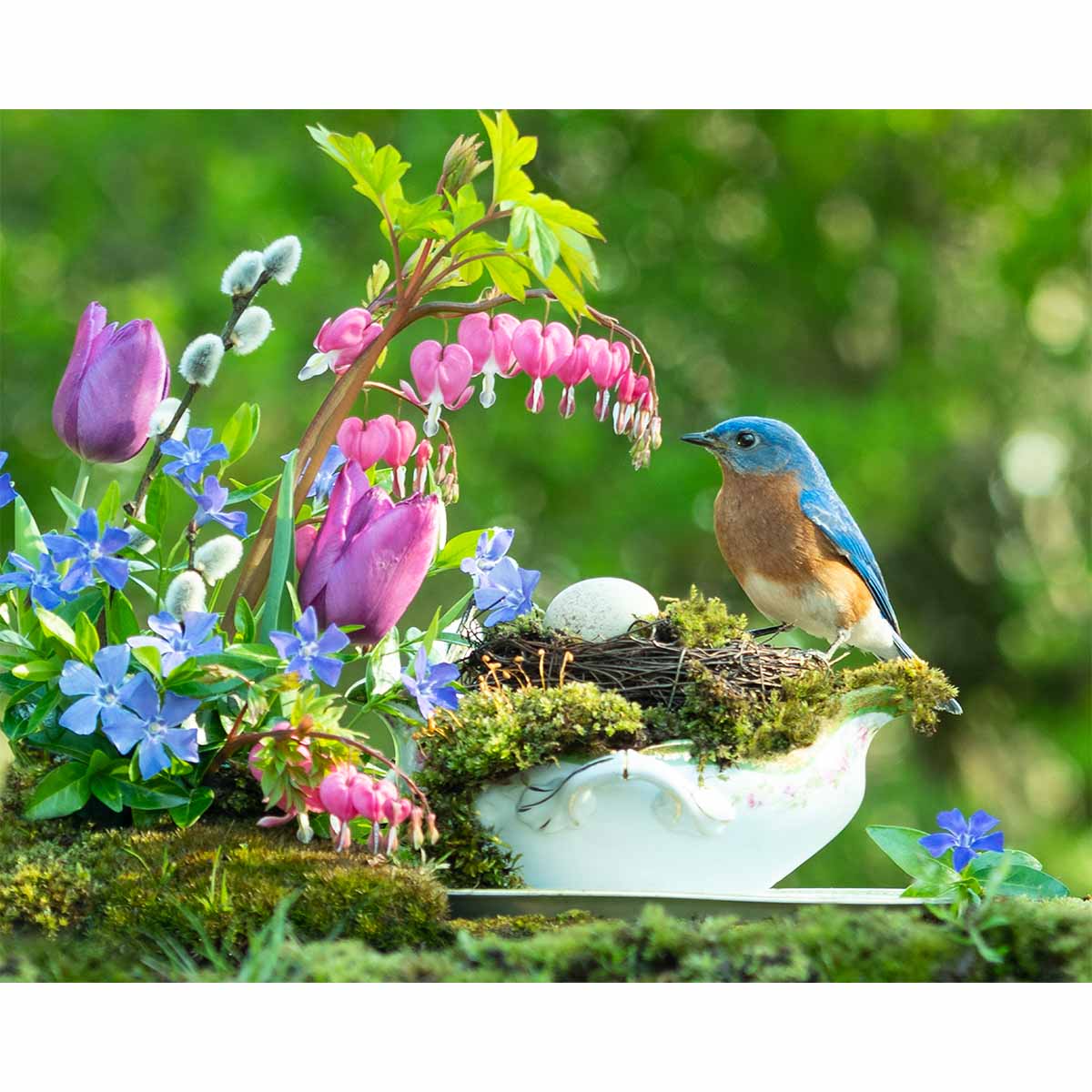 Gravy Boat Nest