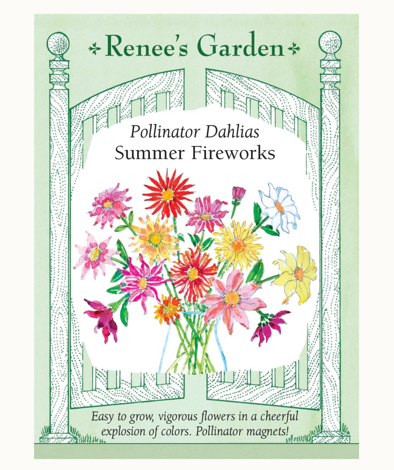 Renee's Garden | Pollinator Dahlias Summer Fireworks