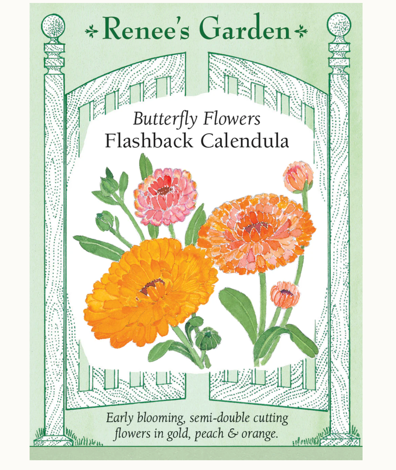 Renee's Garden | Butterfly Flowers Flashback Calendula