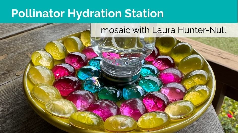 Mosaic Pollinator Hydration Station