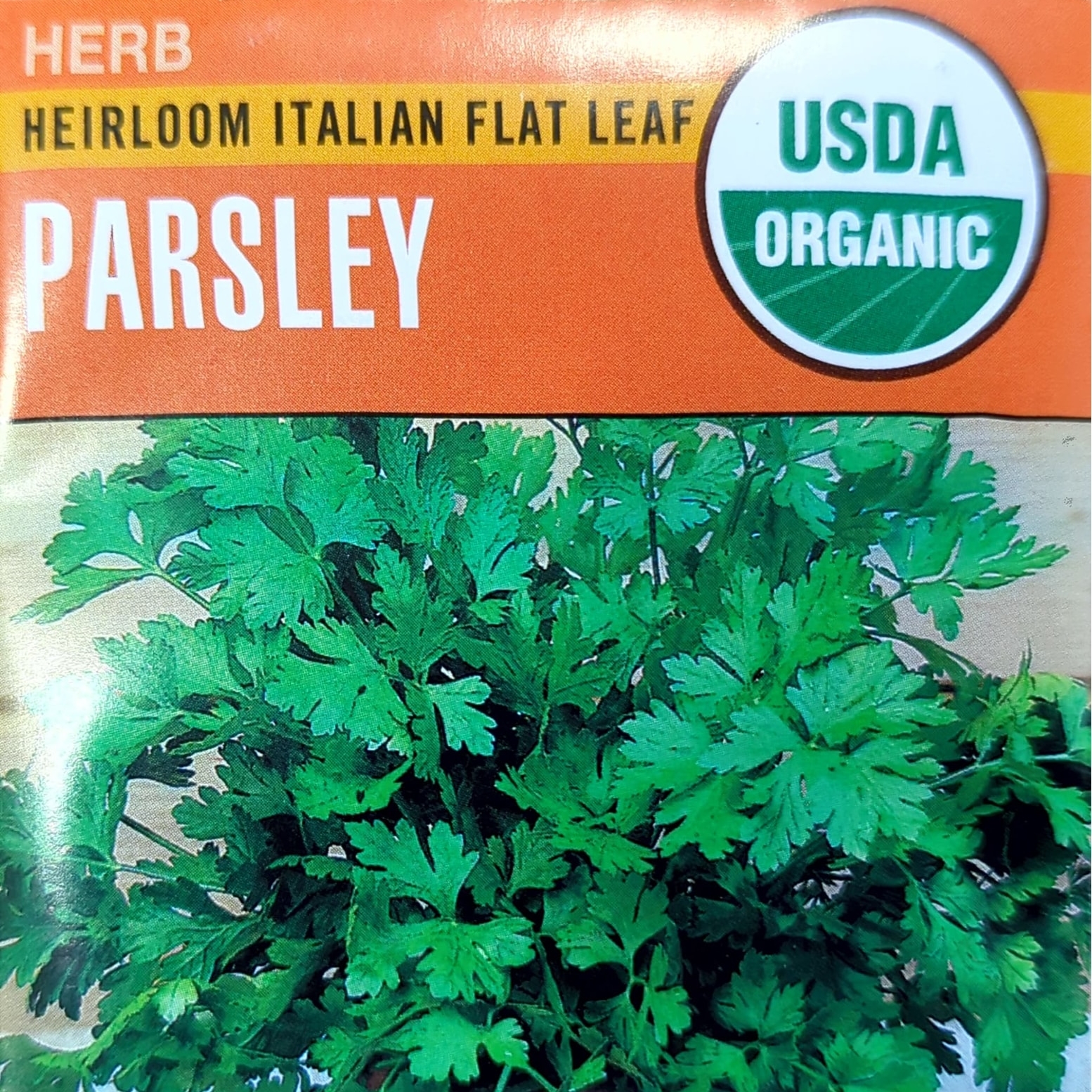 Heirloom Italian Flat Leaf Parsley Seed Pack, Organic