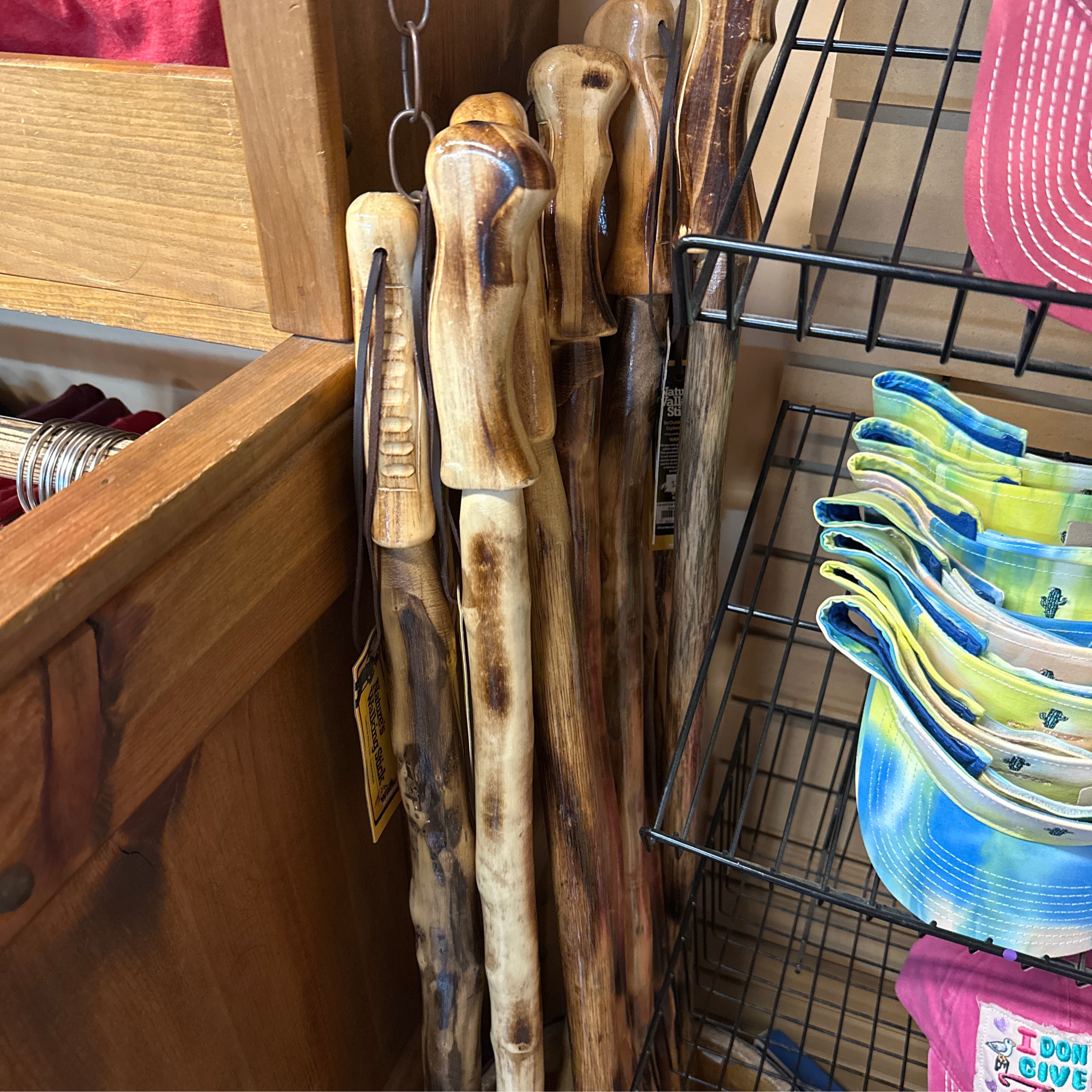 Natures Walking Stick