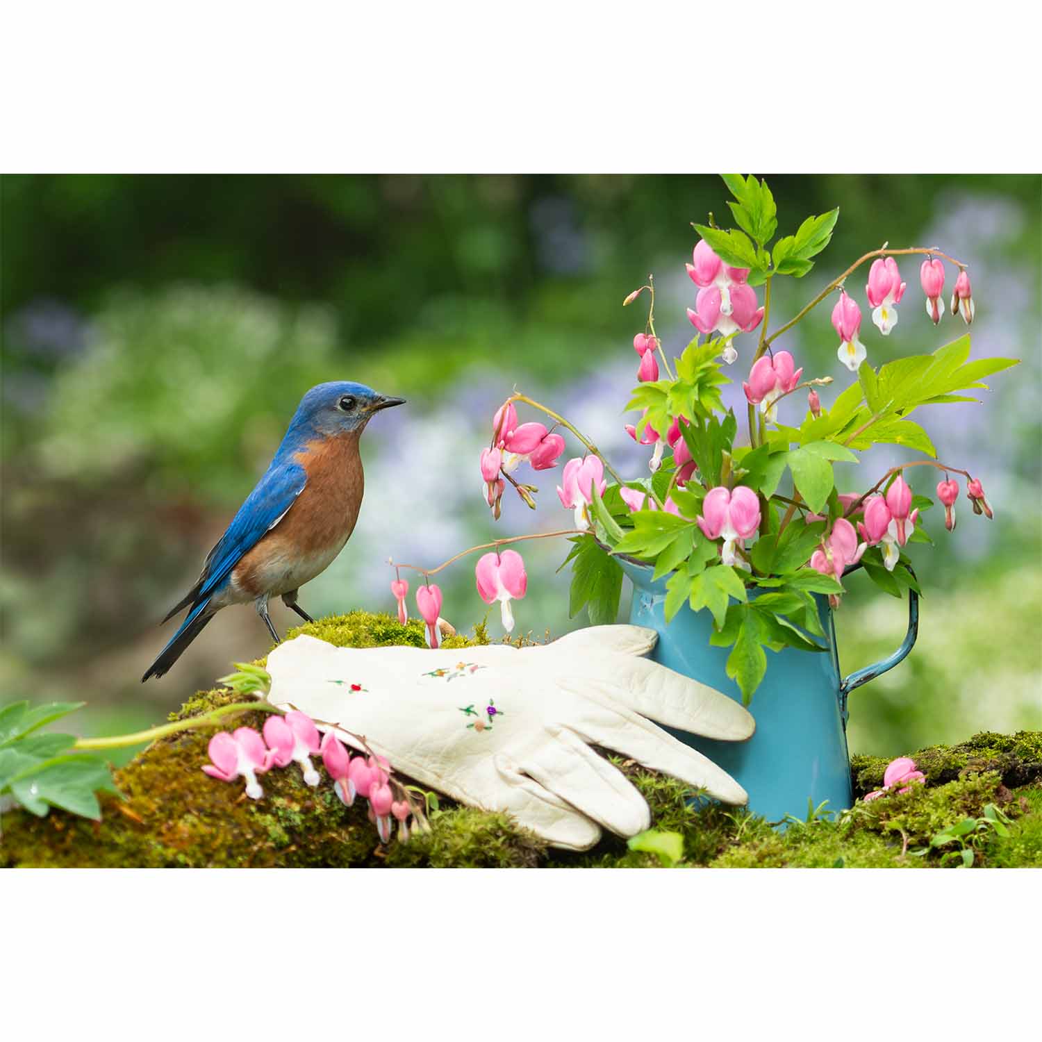The Little Gardener