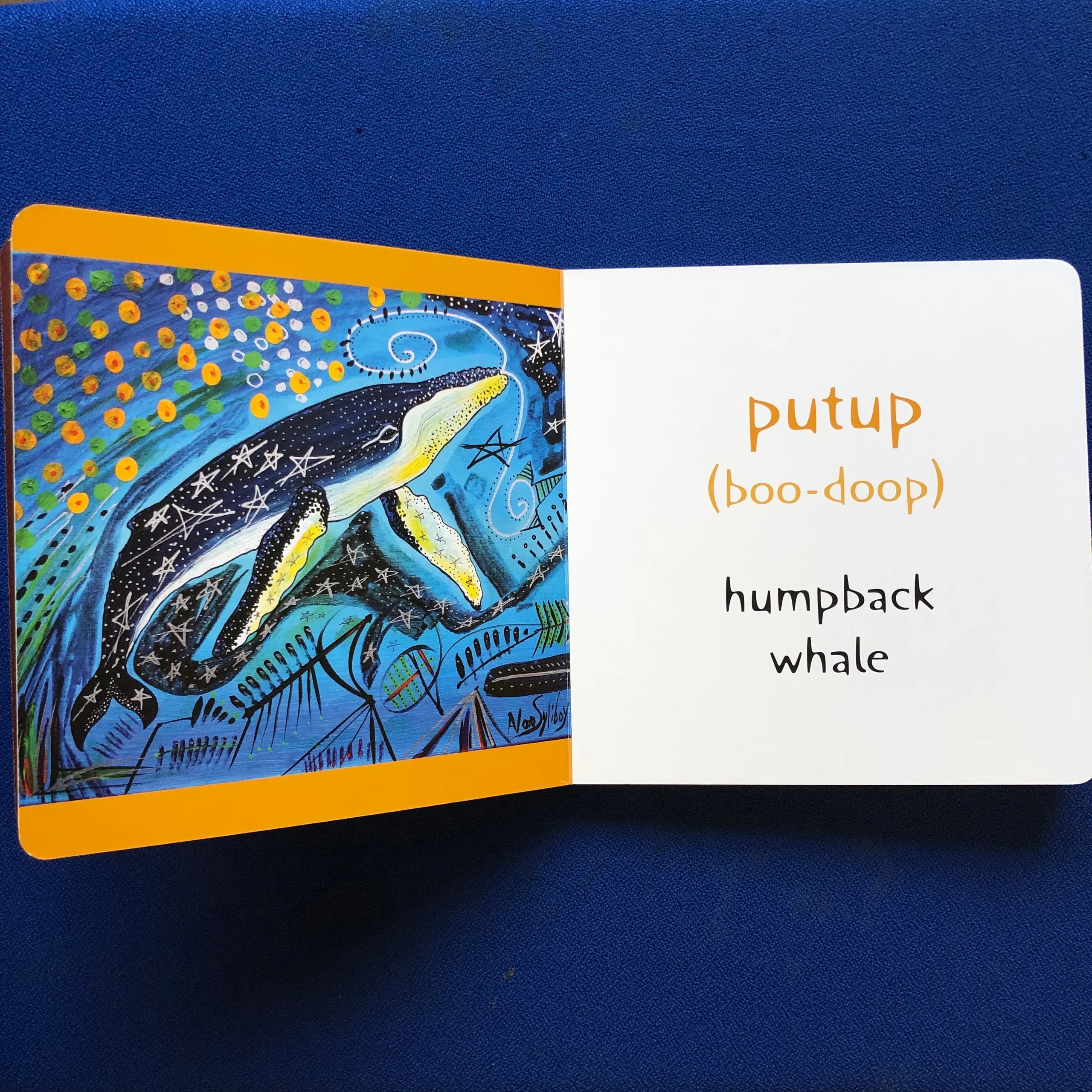 Mi’kmaw Waisisk (Animals)