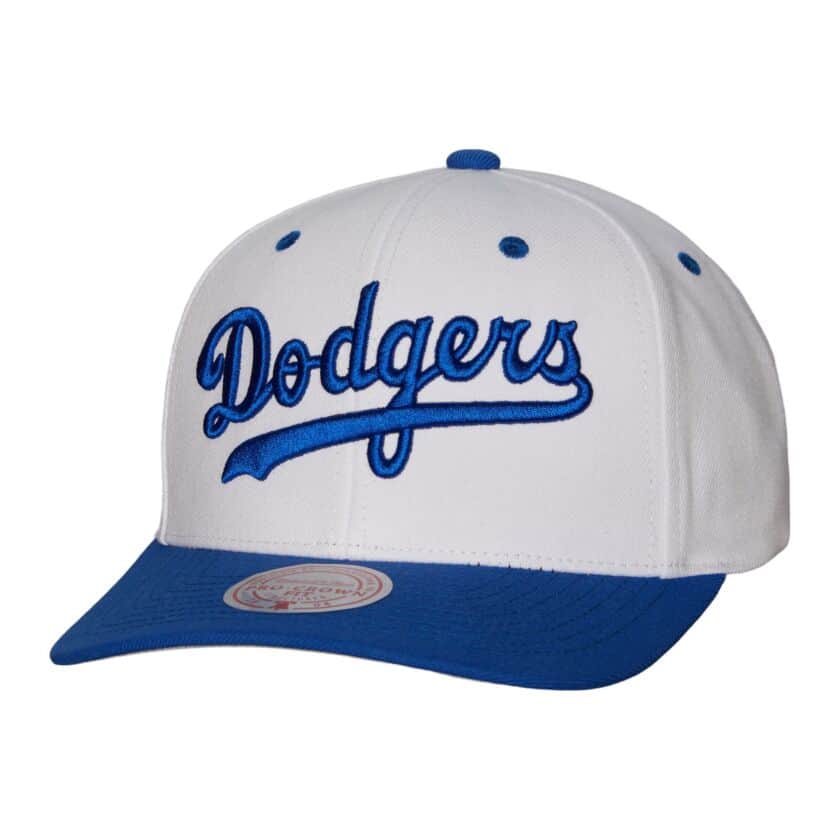 Los Angeles Dodgers Mitchell and Ness Evergreen Pro Snapback Hat