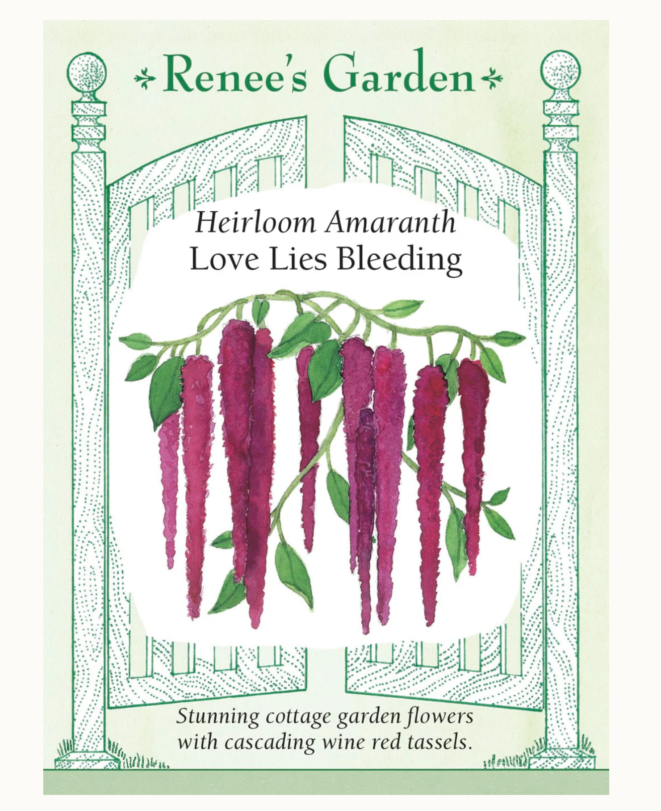 Renee's Garden | Heirloom Amaranth Love Lies Bleeding