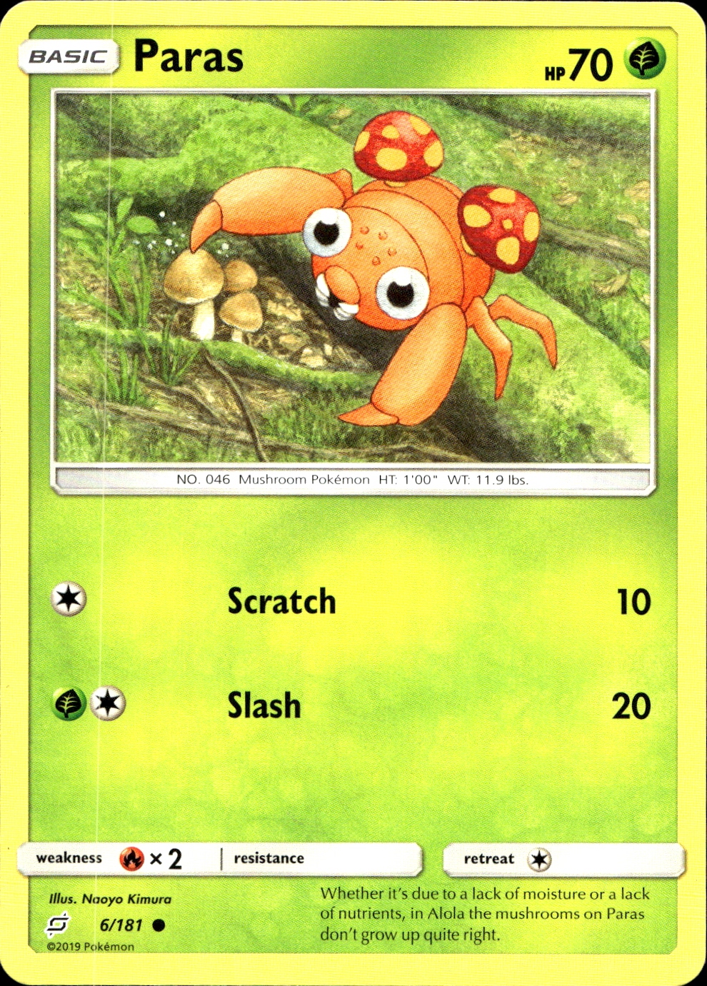 Paras - SM9 6