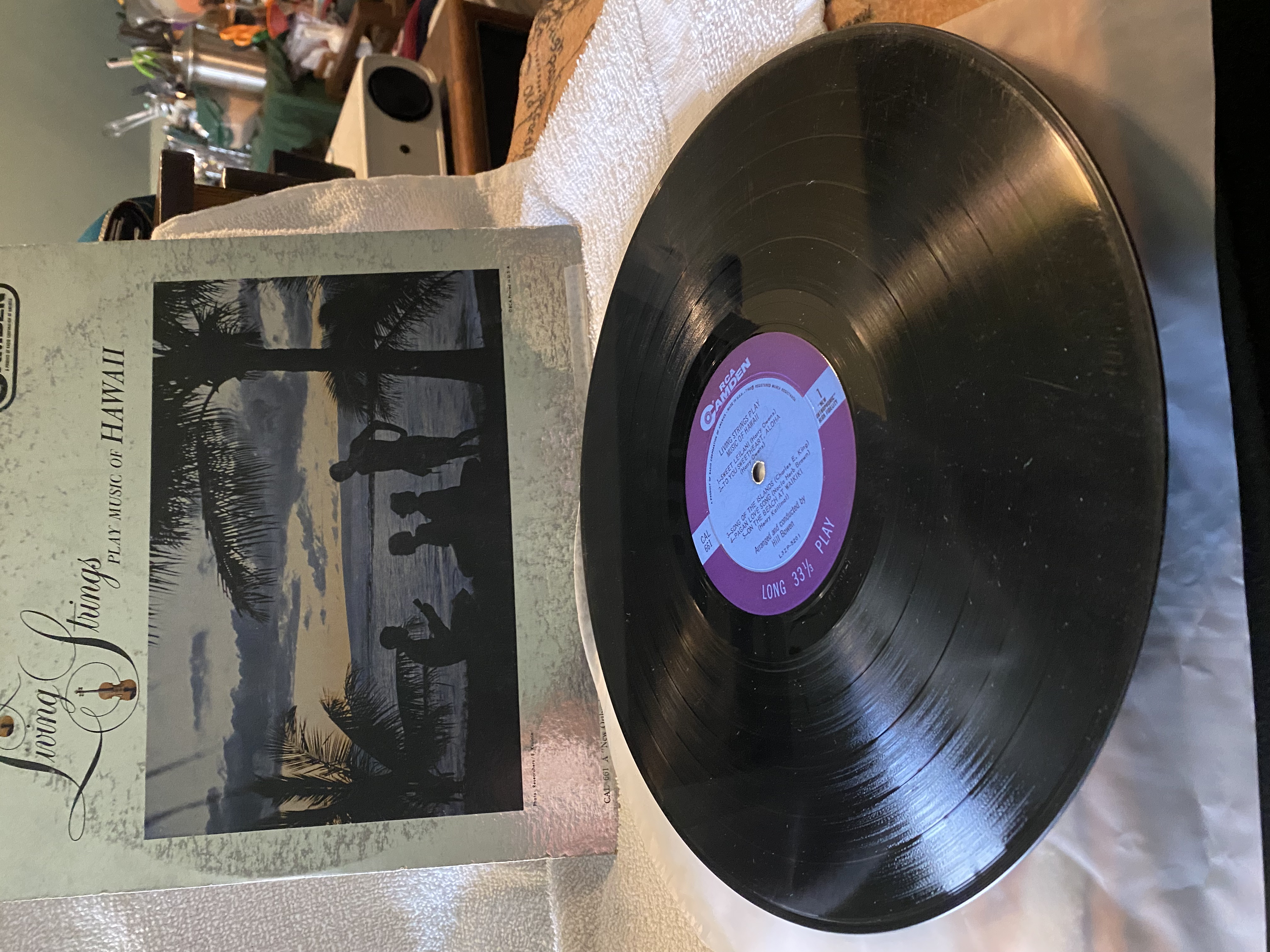 Hawaii | Living Strings