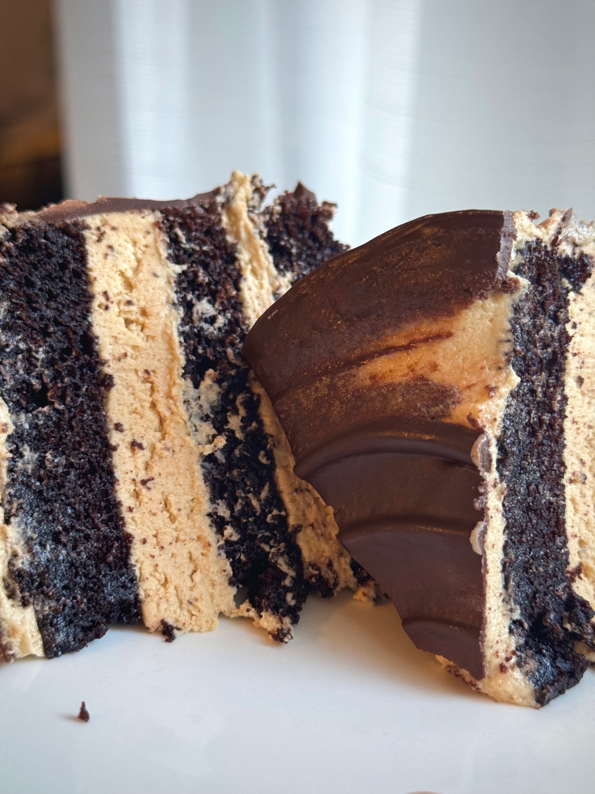 Chocolate Peanut Butter Mousse Cake