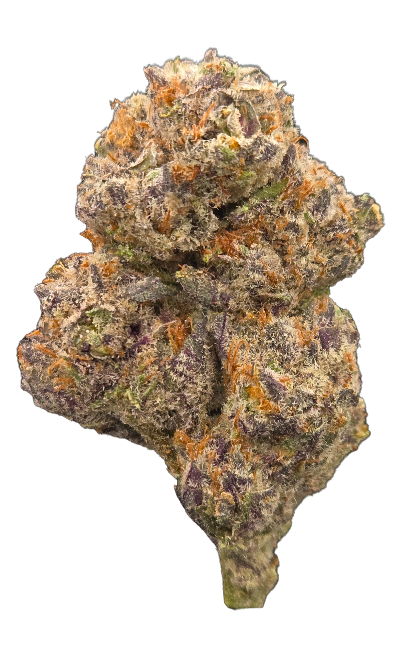 Banana Ice THCA - Hybrid - Bulk Flower