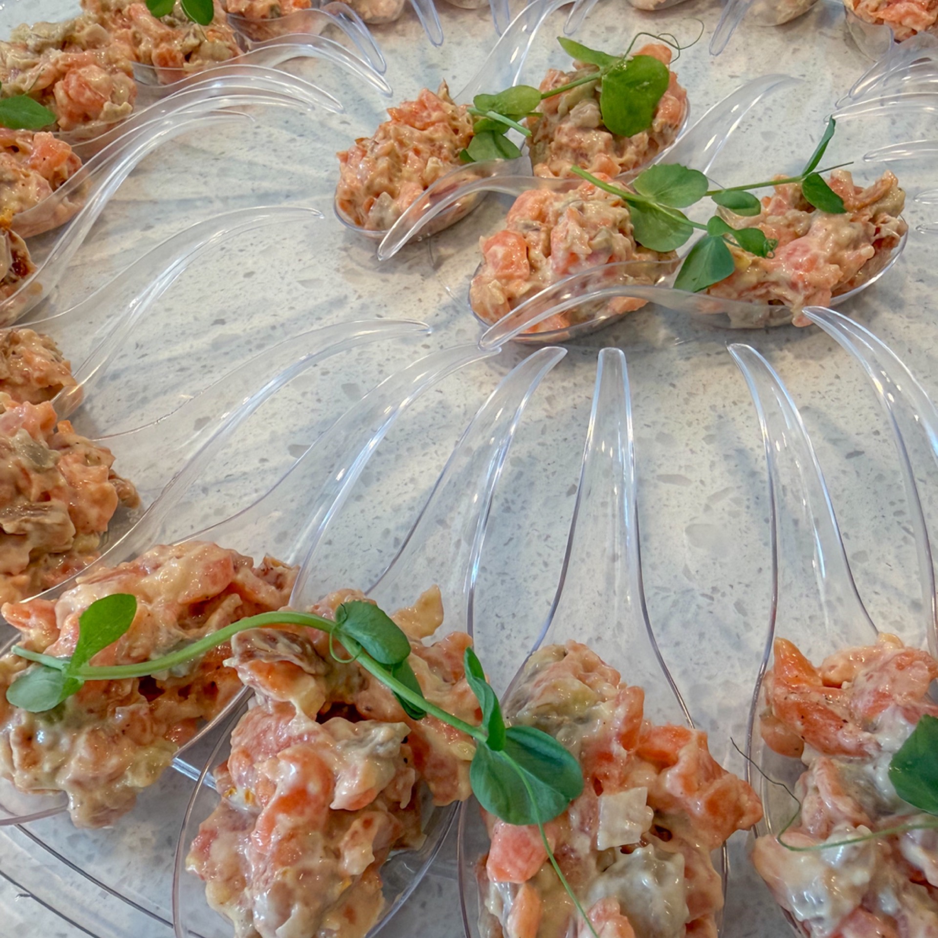 Small platter of meat or fish tartare