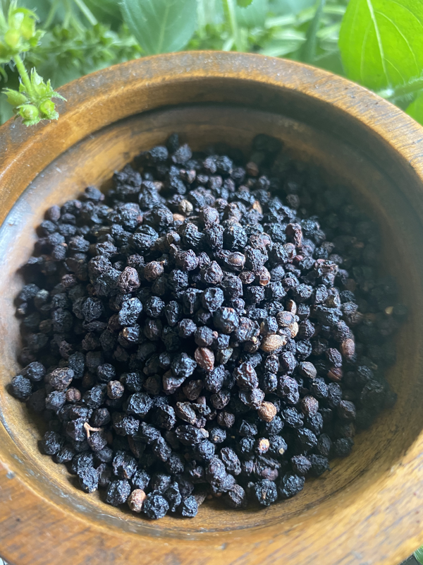 Elderberries Loose-Sambucus nigra