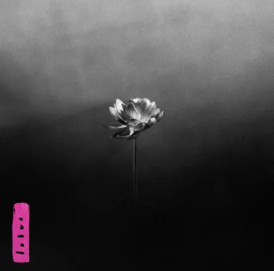 Little Simz - Lotus by Unknown Artist - View 1