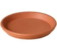 Clay Saucer