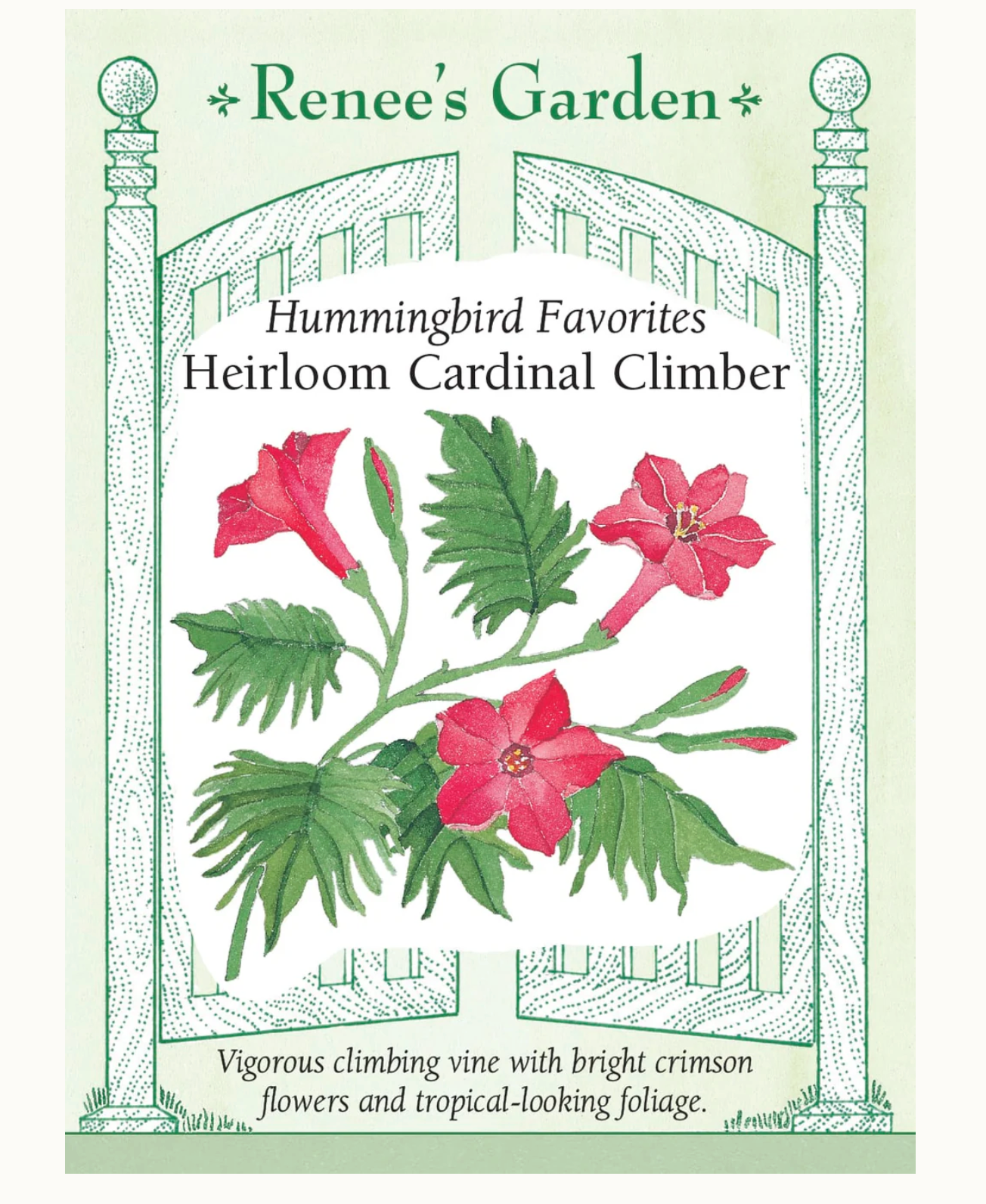 Renee's Garden | Hummingbird Favorites Heirloom Cardinal Climber