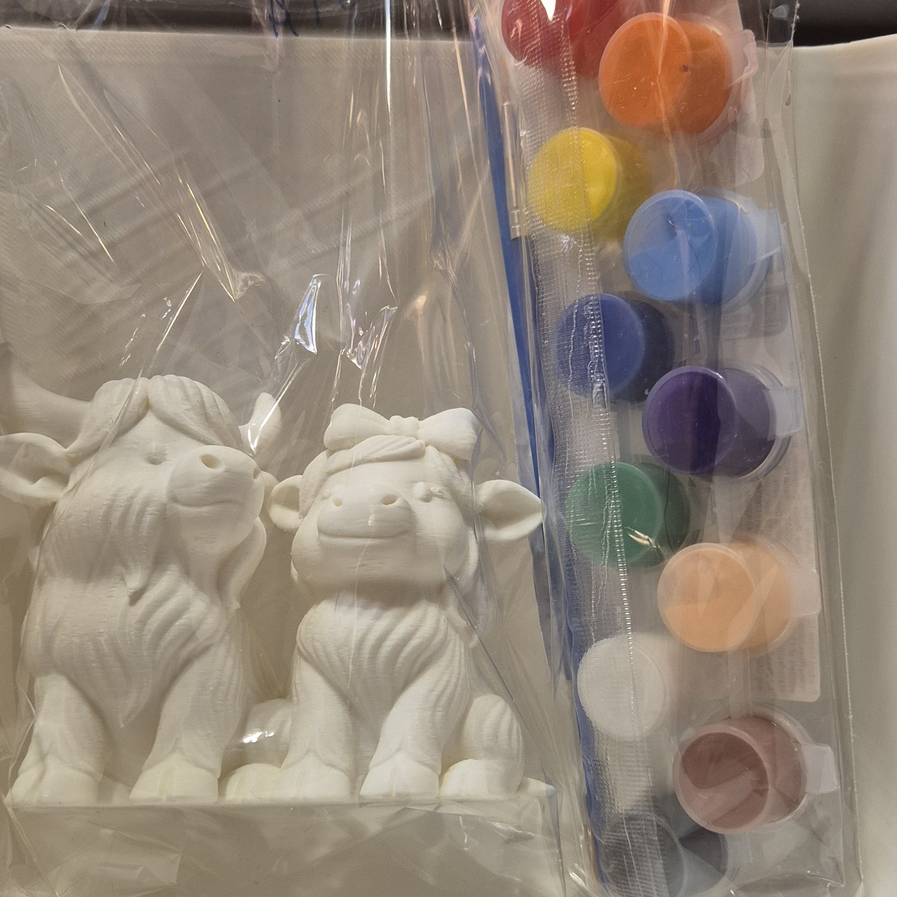 3d Printed DIY Paint Pack