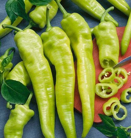 Hot Honduran Peppers (pint)