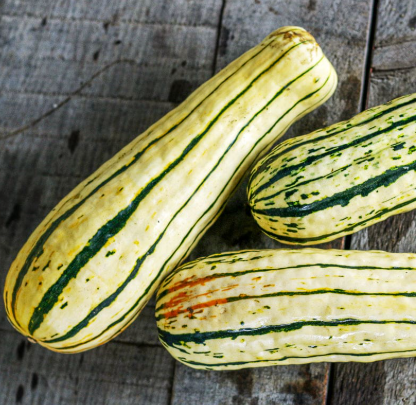 Delacata Squash
