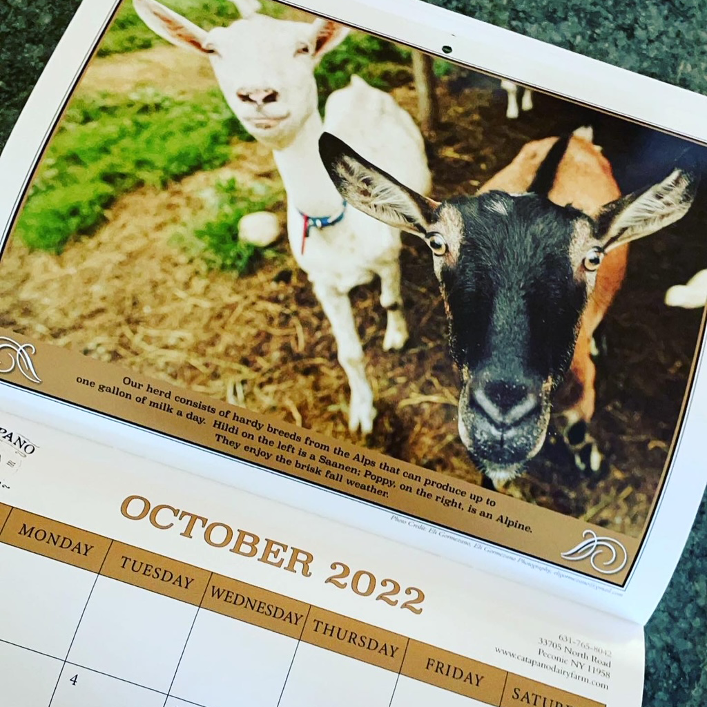 Goat Calendar