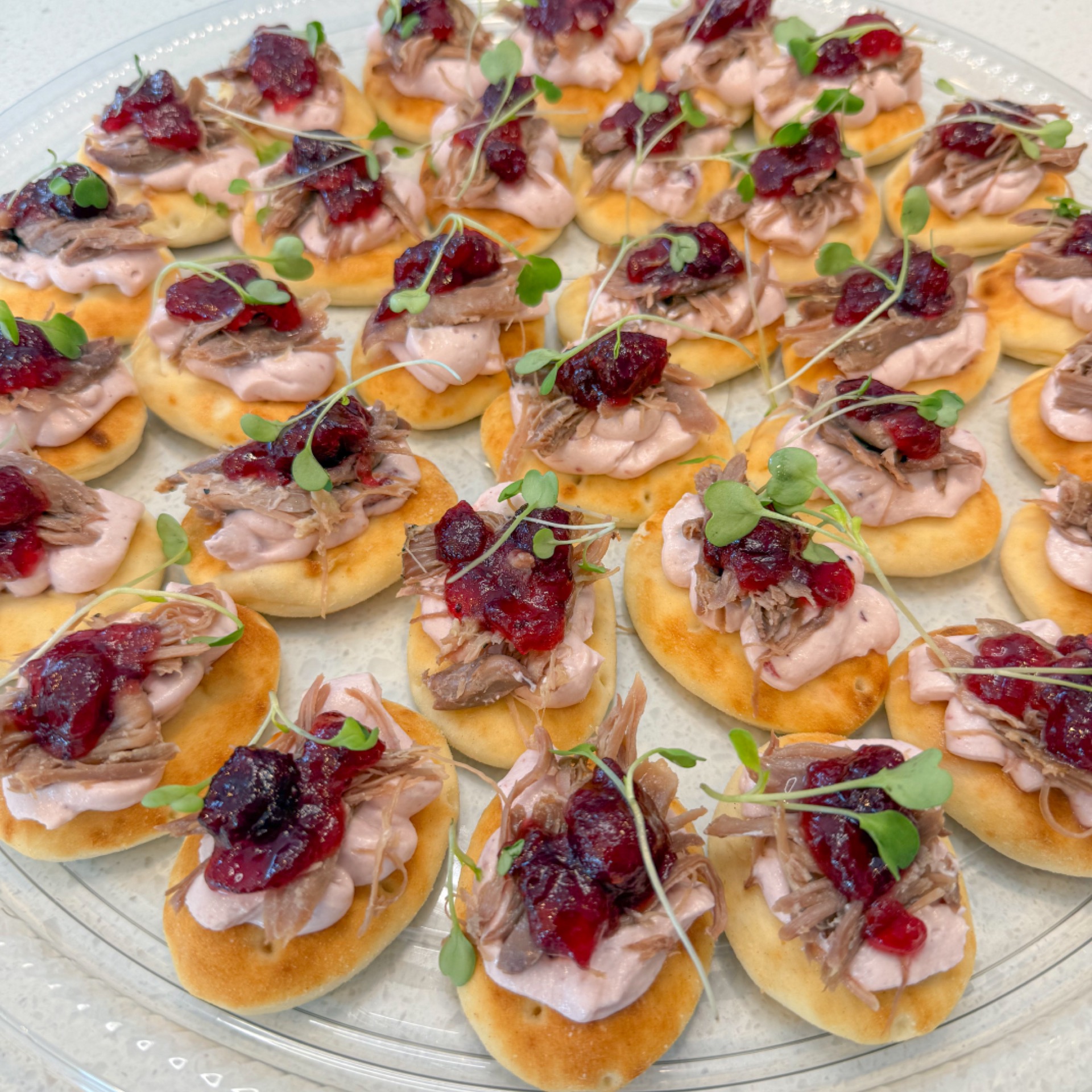 Naan bites, cranberry cream and duck confit platter