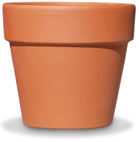 Clay Pots