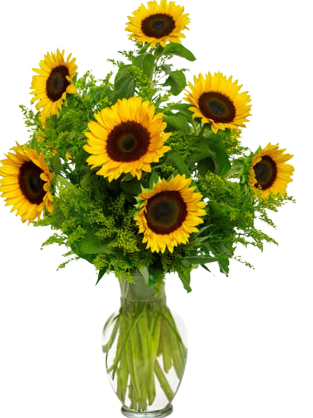 Valentine | To My Sunshine - Deluxe : A Dozen Sunflowers