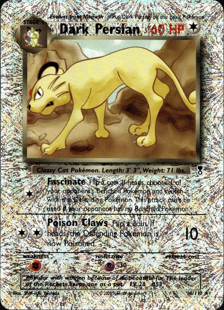 Dark Persian - LC 6/110