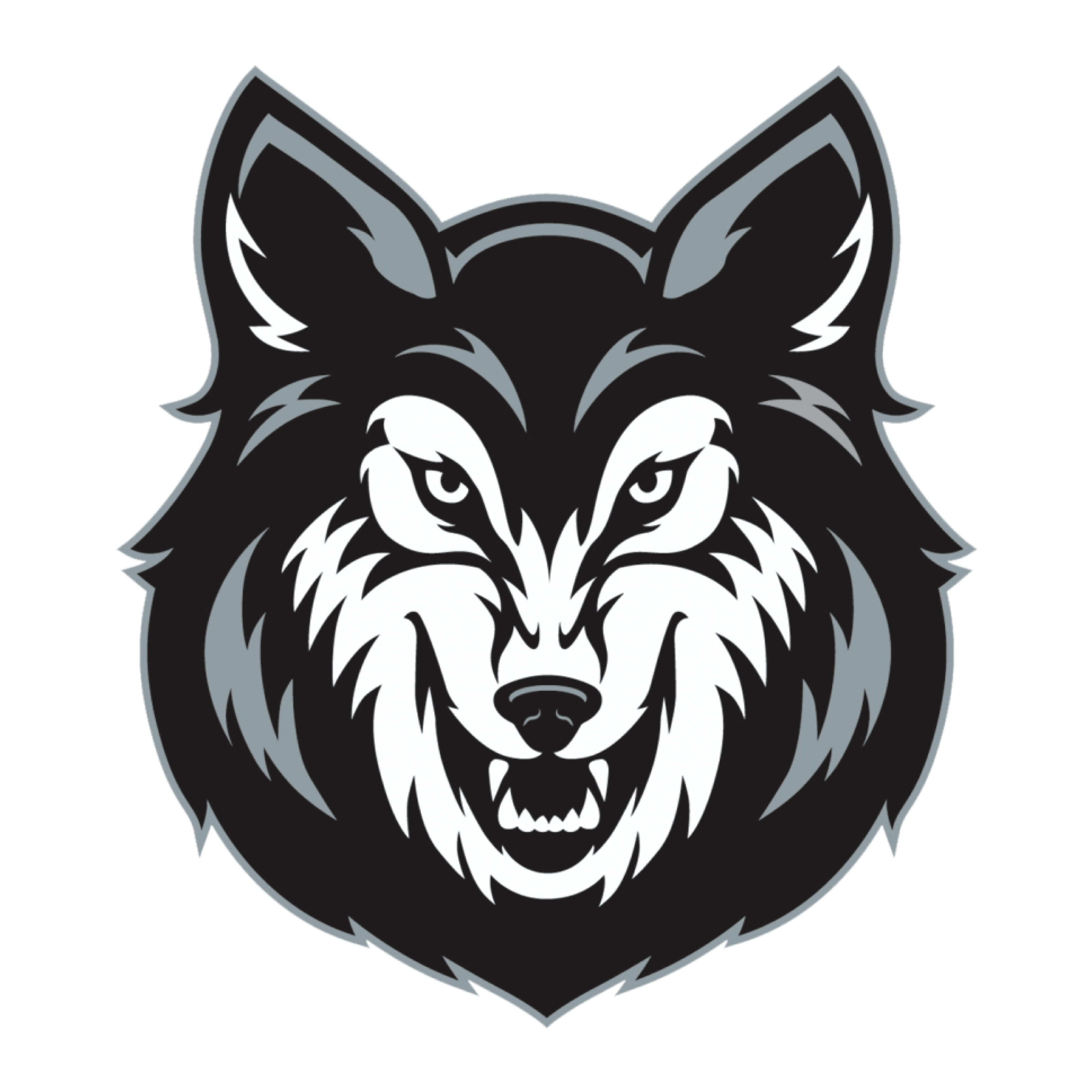 Hammond Central High School Affiliate Sponsorship